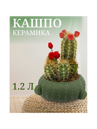Кашпо керамика, 1.2 л, 16х9х9 см, Кактус, Y4-3079