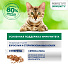 Корм для животных Perfect Fit, 75 г, для взрослых кошек, желе, говядина, для иммунитета, Q2968 - фото 5