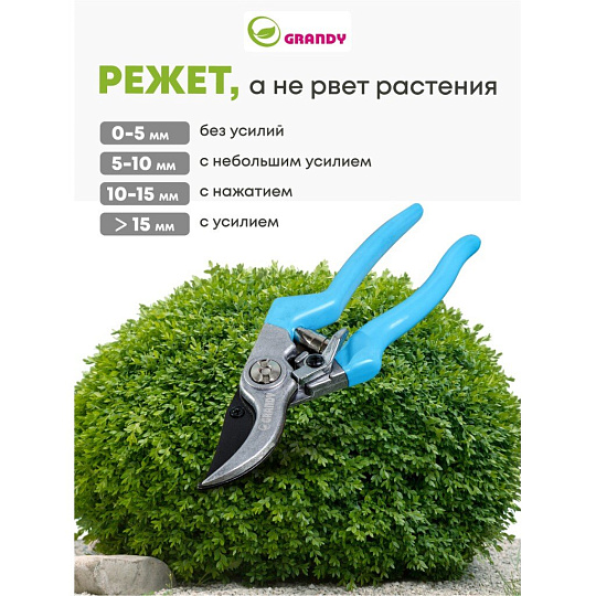 Секатор 200 мм, диаметр реза 20 мм, прямого реза, Grandy, рукоятка резина