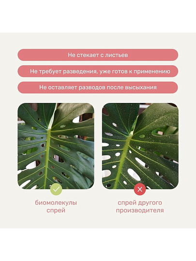 Удобрение Биомолекулы, для комнатных и балконных цветов, спрей, 500 мл, Удобряй!