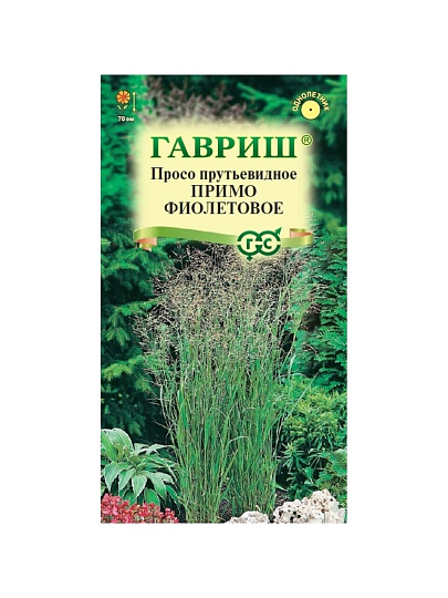 Семена Просо Примо фиолетовое (декоративное) 0,5 г Н25 Гавриш