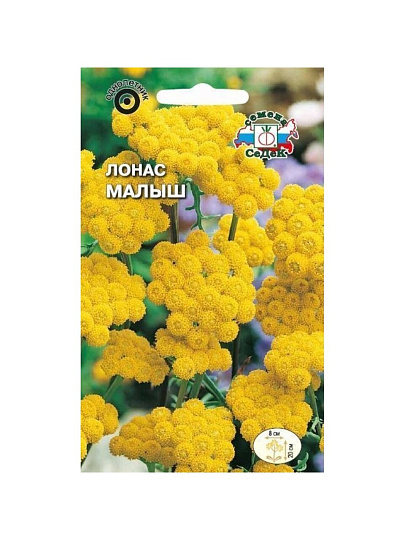 Семена Цветы, Лонас, Малыш, 0.05 г, цветная упаковка, Седек