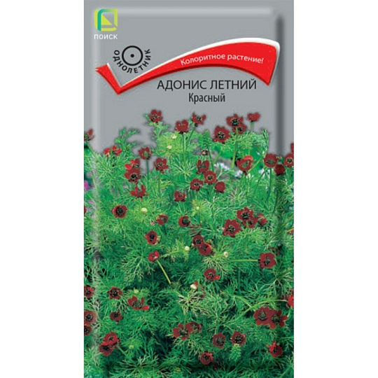 Семена Цветы, Адонис, Красный, 0.3 г, летние, цветная упаковка, Поиск