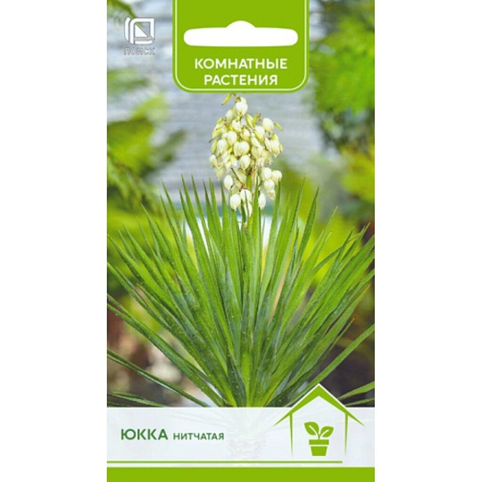 Семена Цветы, Юкка, нитчатая, цветная упаковка, Поиск