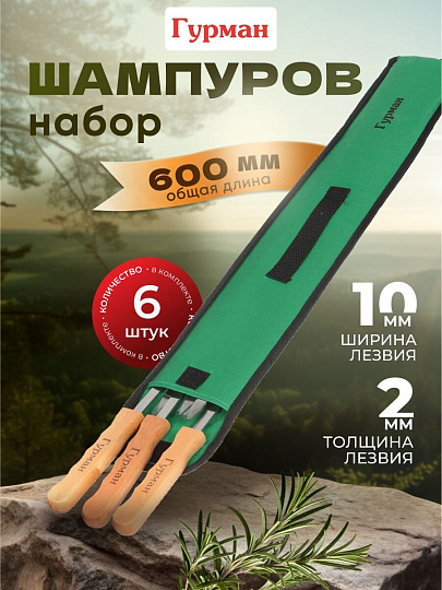 Шампур лезвие плоское, 6 шт, 600х10х2 мм, нержавеющая сталь, рукоятка дерево, Гурман, в чехле, CB2222