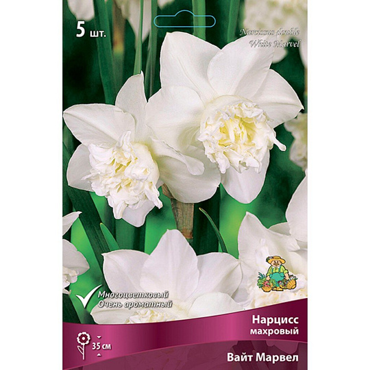 Луковицы Нарцисс махровый, Вайт Марвел, 12-14/К, 5 шт
