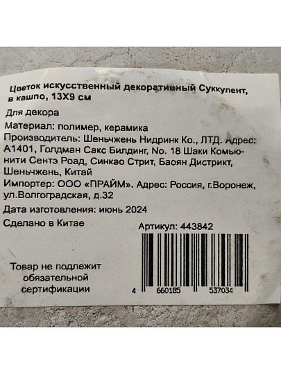 Цветок искусственный декоративный Суккулент, в кашпо, 13Х9 см, зеленый, Y4-7161