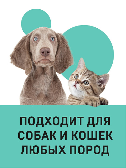 Шампунь Wellroom, 400 мл, для кошек и собак, универсальный с витамином Е