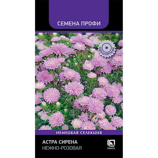 Семена Цветы, Астра, Сирена Нежно-розовая, 0.05 г, цветная упаковка, Поиск