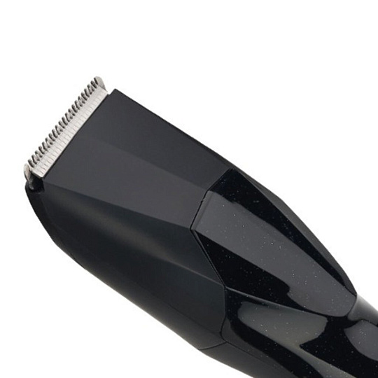 Набор для стрижки Centek, CT-2131 3 в 1, аккумуляторный, 2 Вт, черный, машинка, бритва, триммер