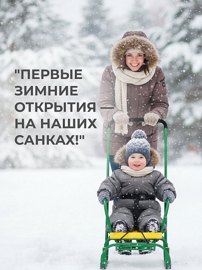 Санки Тимка 3, Т3, ступенчатая подножка, ручка 2 положения, зеленые, Nika