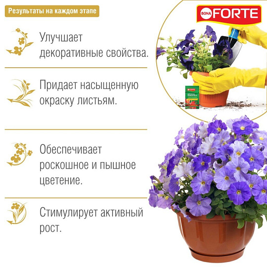 Удобрение Красота, для комнатных растений, минеральное, жидкость, 10 мл, Bona Forte