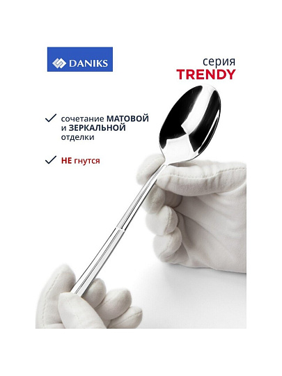 Набор столовых приборов нержавеющая сталь, 24 предмета, Daniks, Trendy