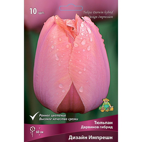 Луковицы Тюльпан Дарвинов гибрид, Дизайн Импрешн, 11-12/К, 10 шт