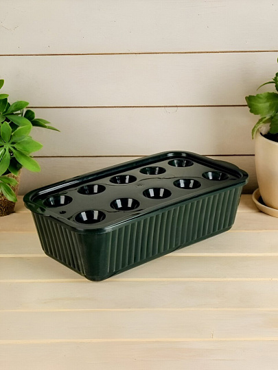 Контейнер для выращивания зеленого лука 305х160х85 мм, М6715, 10 ячеек, Альтернатива