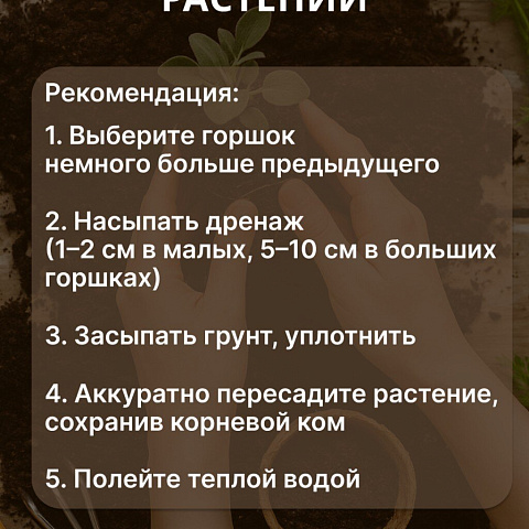 Грунт Живая земля, для цветов, 25 л, Terra Vita