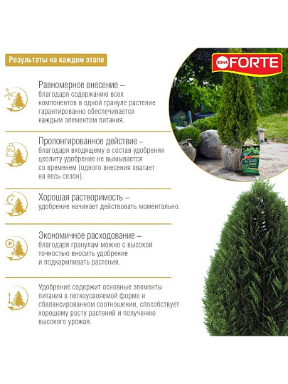 Удобрение Хвойное, пролонгированное с биодоступным кремнием, минеральное, гранулы, 5 кг, Bona Forte