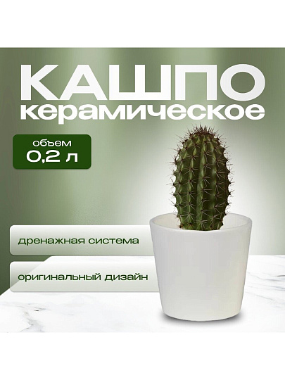 Кашпо керамика, 0.2 л, 8х7 см, конус, Белый, 633604