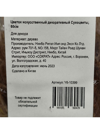 Цветок искусственный декоративный Сухоцветы, 60 см, бежевый, Y6-10399