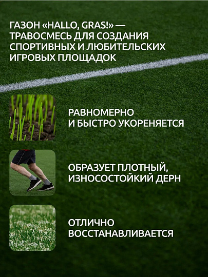 Семена Газон, Sport Meister Gras, 1 кг, мешок, ГазонCity