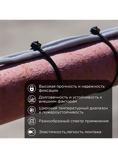 Хомут стяжной кабельный, 4.8х250 мм, нейлон, 100 шт, черный, Rexant, 07-0251-5