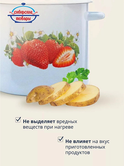 Кастрюля эмалированная сталь, 5.5 л, крышка сталь, петля, с декором, цилиндрическая, Сибирские товары, С1617.СГ, серо-голубая