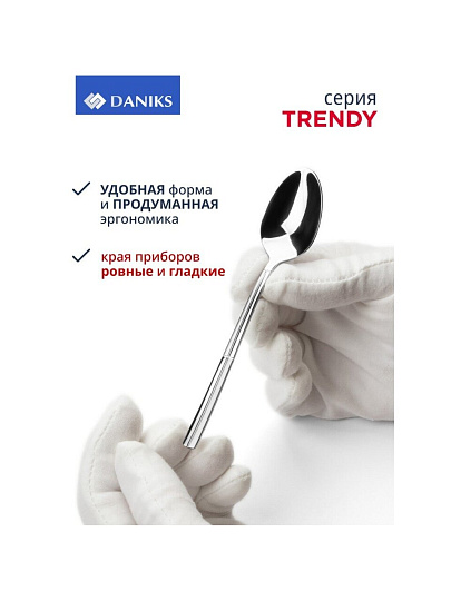 Набор столовых приборов нержавеющая сталь, 24 предмета, Daniks, Trendy