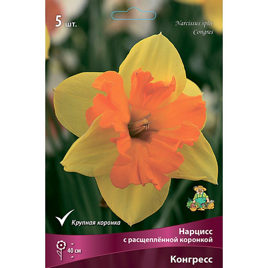 Луковицы Нарцисс с расщепленной коронкой, Конгресс, 12-14/К, 5 шт