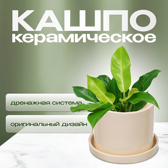 Горшок керамика, 16х15.5 см, для цветов, белая матовая, Лидер №2, 4933