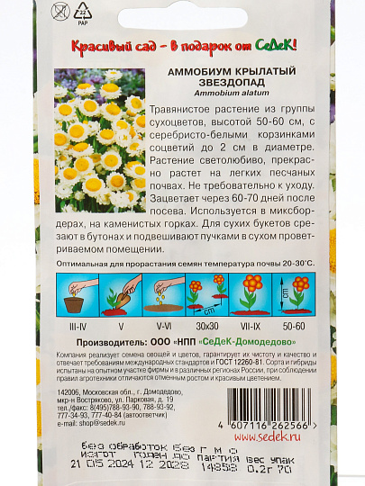 Семена Цветы, Аммобиум, Звездопад, 0.2 г, цветная упаковка, Седек