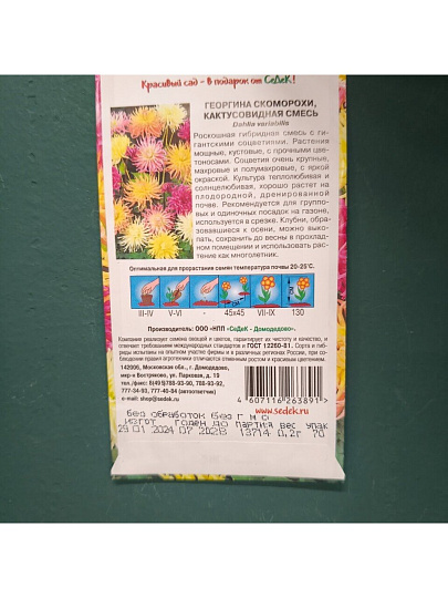 Семена Цветы, Георгина, Скоморохи, 0.2 г, кактусовидная смесь, цветная упаковка, Седек