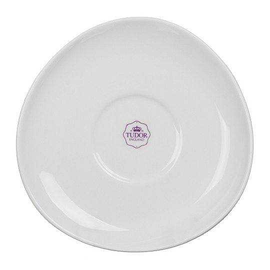 Чайная пара из фарфора Tudor England Royal white TU9999-3, 240 мл