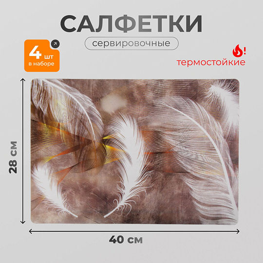 Набор салфеток пластик, 40х28 см, прямоугольный, 4 шт, для стола, Перья, Y4-9145