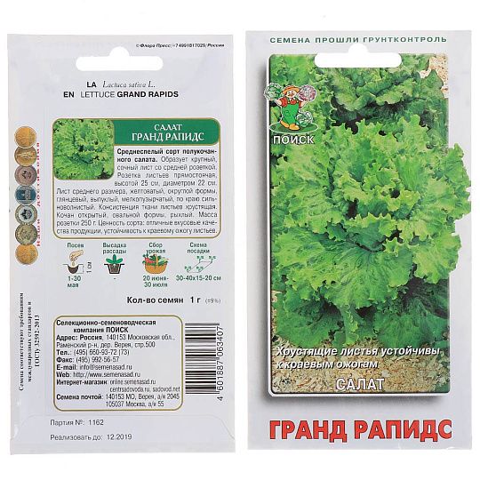 Семена Салат листовой, Гранд Рапидс, 1 г, цветная упаковка, Поиск
