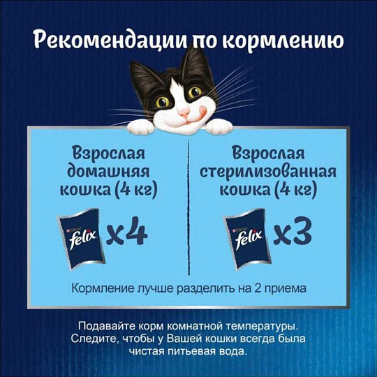 Корм для животных Феликс, Аппетитные кусочки, 75 г, для взрослых кошек, кусочки в желе, лосось, пауч, 12512726