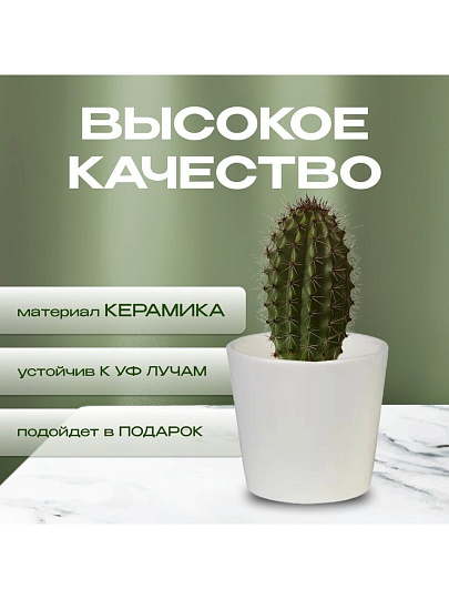 Кашпо керамика, 0.2 л, 8х7 см, конус, Белый, 633604