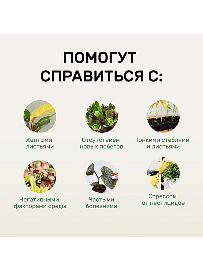 Удобрение Биомолекулы, для декоративно-лиственных, 400 мл, Удобряй!