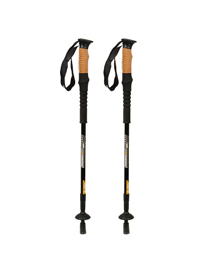 Палки для скандинавской ходьбы, 65-135 см, 2 шт, карбон, рост 145-200 см, C120002