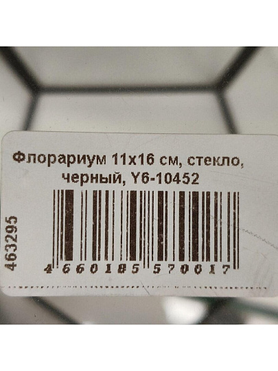Флорариум 11х16 см, стекло, черный, Y6-10452