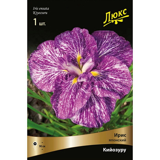 Луковицы Ирис японский, Кийозуру
