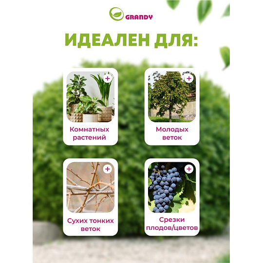 Секатор 200 мм, прямого реза, Grandy, Luxe, с храповым механизмом, рукоятка металл, резина
