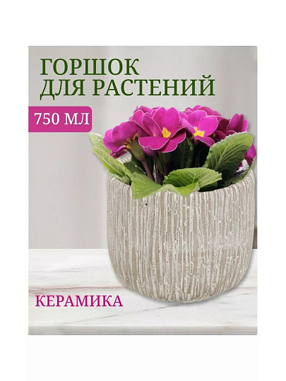 Кашпо керамика, 0.75 л, 12х12 см, Шлейф, Y4-3086