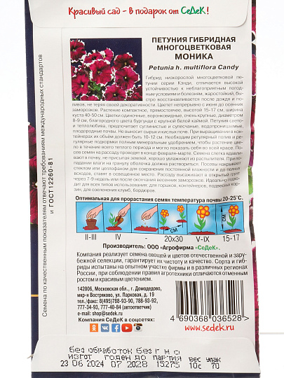 Семена Цветы, Петуния, Моника, цветная упаковка, Седек