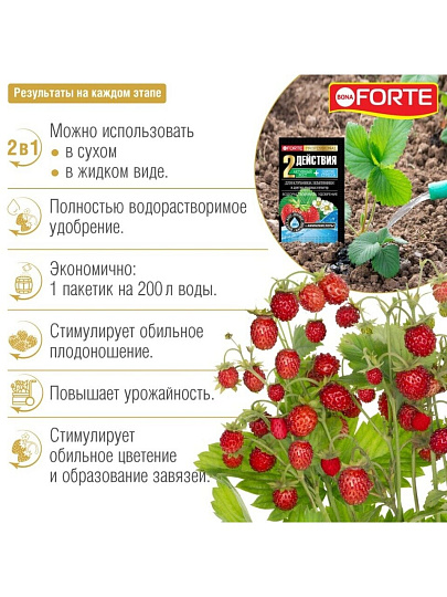 Удобрение для клубники и ягод, порошок, 100 г, Bona Forte