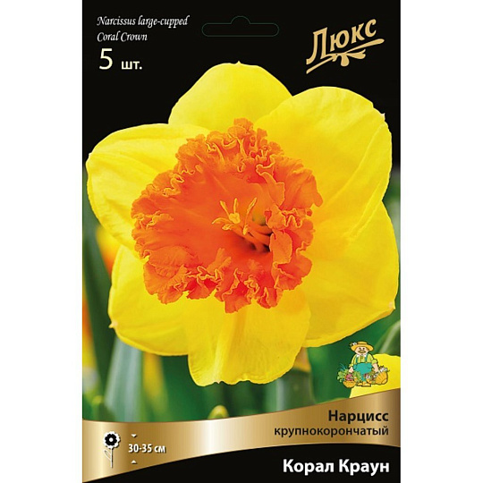 Луковицы Нарцисс крупнокорончатый, Корал Краун