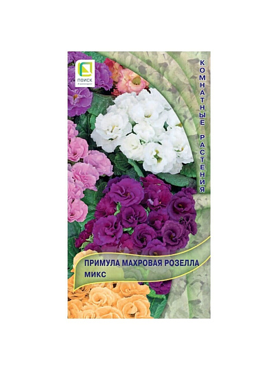 Семена Цветы, Примула, Махровая Розелла Микс, цветная упаковка, Поиск