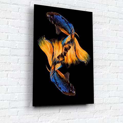 Картина на стекле, 60х40 см, Бойцовская рыбка 2, WB-02-64-04
