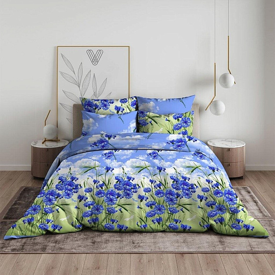 Постельное белье 2-спальное, простыня 200х216 см, 2 наволочки 70х70 см, пододеяльник 175х215 см, Василиса, бязь, Василиса 3422/1