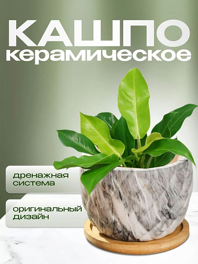 Горшок керамика, 0.2 л, 8.5х8.5х7 см, для кактусов и суккулентов, Мини, Y4-5358