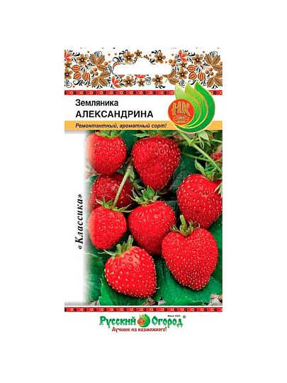 Семена Земляника, Александрина, 0.05 г, цветная упаковка, Русский огород